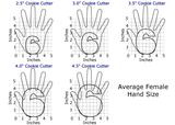 Number 6 Cookie Cutter