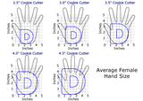 Chubby Uppercase D Cookie Cutter