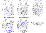 Chubby Number 3 with Script Outline Cookie Cutter