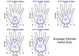 Chubby Number 8 with Script Outline Cookie Cutter